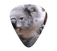 Koala On Branch,12 Pcs Guitar Pick,3 Different Thickness Plectrums for Acoustic Guitar Bass Ukulele (0.46mm 0.96mm 0.71mm)