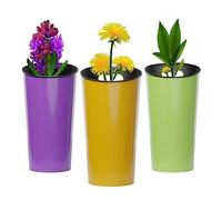 Koala Spain Vase, Yellow, Green and Purple, Estandar