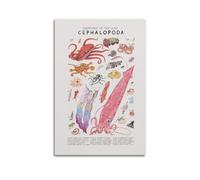 koanga Animal Poster Creatures of The Class Cephalopoda Poster Decorative Painting Canvas Wall Posters And Art Picture Print Modern Family Bedroom Decor Posters 20x30inch(50x75cm)