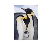 koanga Animal Poster The Emperor Penguin Family Poster Decorative Painting Canvas Wall Posters And Art Picture Print Modern Family Bedroom Decor Posters 24x36inch(60x90cm)