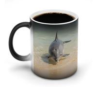 KOAYUBFC Coffee Mug 11 Oz Dolphin in Shallow Water Color Changing Mugs, Heat Changing Coffee Mugs with Handle, Heat Sensitive Magic Mug for Women Men Funny Ceramic Cup for Tea Latte Milk Cocoa