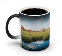 KOAYUBFC Coffee Mug 11 Oz Everglades National Park Color Changing Mugs, Heat Changing Coffee Mugs with Handle, Heat Sensitive Magic Mug for Women Men Funny Ceramic Cup for Tea Latte Milk Cocoa