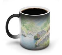 KOAYUBFC Coffee Mug 11 Oz Strange Rocks in The Creek Color Changing Mugs, Heat Changing Coffee Mugs with Handle, Heat Sensitive Magic Mug for Women Men Funny Ceramic Cup for Tea Latte Milk Cocoa