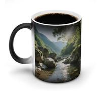 KOAYUBFC Coffee Mug 11 Oz Strange Rocks in The Creek Color Changing Mugs, Heat Changing Coffee Mugs with Handle, Heat Sensitive Magic Mug for Women Men Funny Ceramic Cup for Tea Latte Milk Cocoa