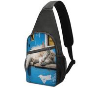 KOAYUBFC Cross Body Bag Sling Backpack Casual Pouch Asgens Crossbody Sports Chest Bags Sleeping Little Cat Tactical Chest Bag Suitable for Hiking Cycling Running Shopping And More Unisex