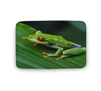 KOAYUBFC Door Mat Outdoor Indoor Welcome Mats Non Slip Floor Mat Animal Frog Green Leaf Leaves Front Doormat for Entryway Rug Front Porch Laundry Bathroom Bedroom Rug Carpet 40CM X60CM