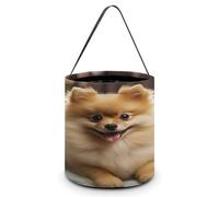 KOAYUBFC Halloween Candy Bucket Depict A Cute Pomeranian Dog Trick Or Treat Bags Halloween Candy Tote Bag with Handles Reusable Candy Baskets for Halloweens Party Supplies Favors Gift Bags