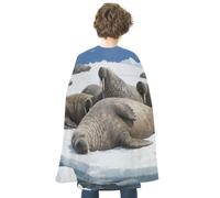 KOAYUBFC Halloween Walrus Resting on The Ice Cloak Reversible Cape Costume for Masquerade Halloween Cosplay Birthday Party Decoration