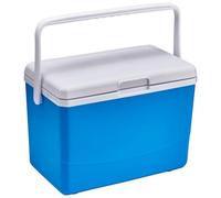 KOBONA Cooler Box 3L Insulated Cooler Box with Handle Leakproof Travel Cooler Boxes Cool Ice Box Heat Preservation Storage Cooler Box for Camping Beach Picnic Car