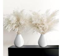 Kocat 30Pcs White Pampas Grass Home Decor - Elegant Boho Decor - Premium Quality Pampas Rods - Perfect For Home, Nursery, Western, Wedding, Table And Bohemian Decoration