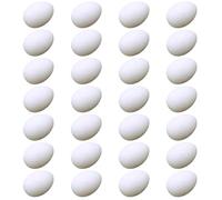 KOCKSHION Fake Eggs for 28pcs Life-like Effect White and Easy to Carry Feature, Nest Hatching and Bird Breeding Supplies