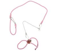 KOCKSHION Pet Leash for Guinea Pig Harness Small Pet Rabbit Leash Squirrel Traction Rope for Hamster Outdoor Use