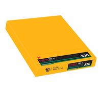 Kodak Eastman Professional Tri-X 320 B&W Sheet Film 4x5 (10 Sheets)