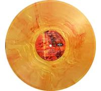 Kodak Ghosts Run Amok [Vinyl LP] [VINYL]