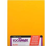 Kodak T-MAX 100 Professional Black & White Sheet Film - 10x12 Inch, 10 Sheets - Ultra-Fine Grain, High Resolution - KOD191060