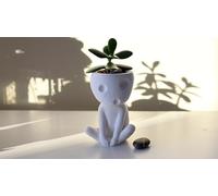 Kodama Planter - Studio Ghibli Inspired Indoor Pot - Decor - Mini Planters for Succulents - Baumgeister - Kooki & Keera (M - 12cm (4.72 in))