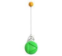 Kodxylytix Balanced Car Chasing Pet Toy Self Interactive Cat Toy with Catnip Green