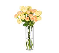 Koelaa Clear Vase, Unbreakable Vases for Flowers, Shatter-Proof, Acrylic Cylinder Vase for Mother’s Day, Wedding, Home, Living Room, Dining Table, Office Decor - 12x25cm