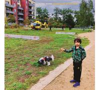 König Boris - Disneyland After Dark [VINYL]