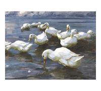 Koester Ducks Lake Birds Nature Painting Large Wall Art Print Canvas Premium Mural