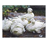 Koester Five White Ducks Resting Birds Nature Painting Art Print Canvas Premium Wall Decor Poster Mural