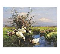 Koester Seven Ducks Ditch Birds Nature Painting Art Print Canvas Premium Wall Decor Poster Mural