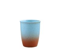 KOHUS Tea Cup Retro Ceramic Cup Host Cup Small Capacity Water Cup Mug Stoneware Kiln-Changed Coffee Cup Soaking Container(C)