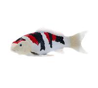 Koi Carp Showa Sanshoku Toy Realistic Fish Model