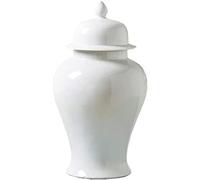 KOIAMVZW Ceramic Vase, Modern Vase Traditional White Porcelain Ginger Jar with Lid, Floral Temple Jar, Decorative Flower Vase for Home Decor Office Centerpiece