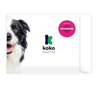 Koko Genetics DNA Test for Dogs Advanced (+175 Reports of Breeds, Health and Traits) - Upgrades at no cost