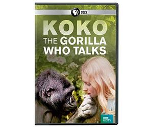 KOKO: THE GORILLA WHO TALKS