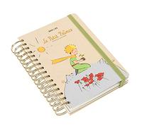 Kokonote: Official The Little Prince Academic Diary 2021-2022 A5 Day To Page - 12 Months Mid Year Diary August 2021 - July 2022 By Kokonote