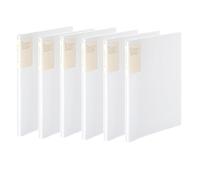 Kokuyo Ra-5001TX6 Clear File Binder, Carryall, Fixed, Back Pocket, A4, Vertical, 20 Pockets, Transparent, Set of 6