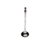 TRW Engine Component 25305 Exhaust valve