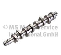 KOLBENSCHMIDT 50006304 Camshaft for AUDI,FORD,SEAT,SKODA,VW,VW (FAW)