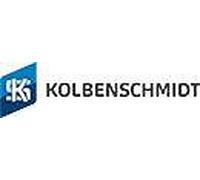 KOLBENSCHMIDT 77946600 Crankshaft Bearing Set for BMW,BMW (BRILLIANCE)