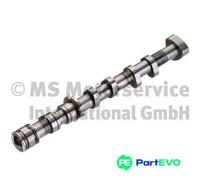 KOLBENSCHMIDT CAMSHAFT 50006098 FOR AUDI