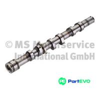 KOLBENSCHMIDT CAMSHAFT 50006100 FOR AUDI