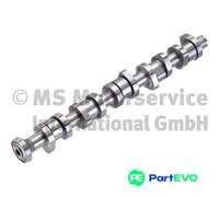 KOLBENSCHMIDT CAMSHAFT 50006110 FOR VW