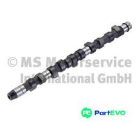 KOLBENSCHMIDT CAMSHAFT 50006216 FOR AUDI