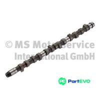 KOLBENSCHMIDT CAMSHAFT 50006218