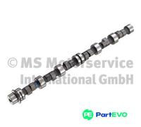 KOLBENSCHMIDT CAMSHAFT 50006239 FOR BMW