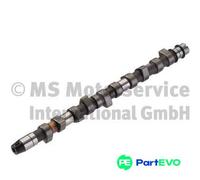KOLBENSCHMIDT CAMSHAFT 50006283 FOR AUDI