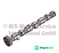 KOLBENSCHMIDT CAMSHAFT 50006302 FOR AUDI SKODA VW