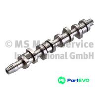 KOLBENSCHMIDT CAMSHAFT 50006304 FOR AUDI FORD SEAT SKODA VW