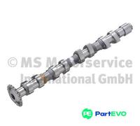 KOLBENSCHMIDT CAMSHAFT 50006308 FOR AUDI SEAT SKODA VW