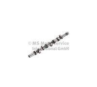 KOLBENSCHMIDT Camshaft 50006332 for Vauxhall Movano MK I (A) Combi 1.9 DTi