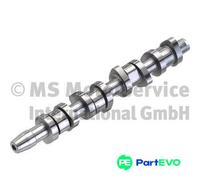 KOLBENSCHMIDT CAMSHAFT 50006342 FOR AUDI SEAT SKODA VW