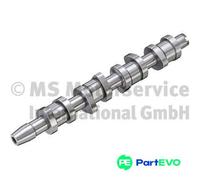 KOLBENSCHMIDT CAMSHAFT 50006343 FOR AUDI VW