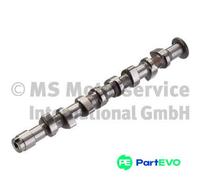 KOLBENSCHMIDT CAMSHAFT 50006380 FOR SEAT VW